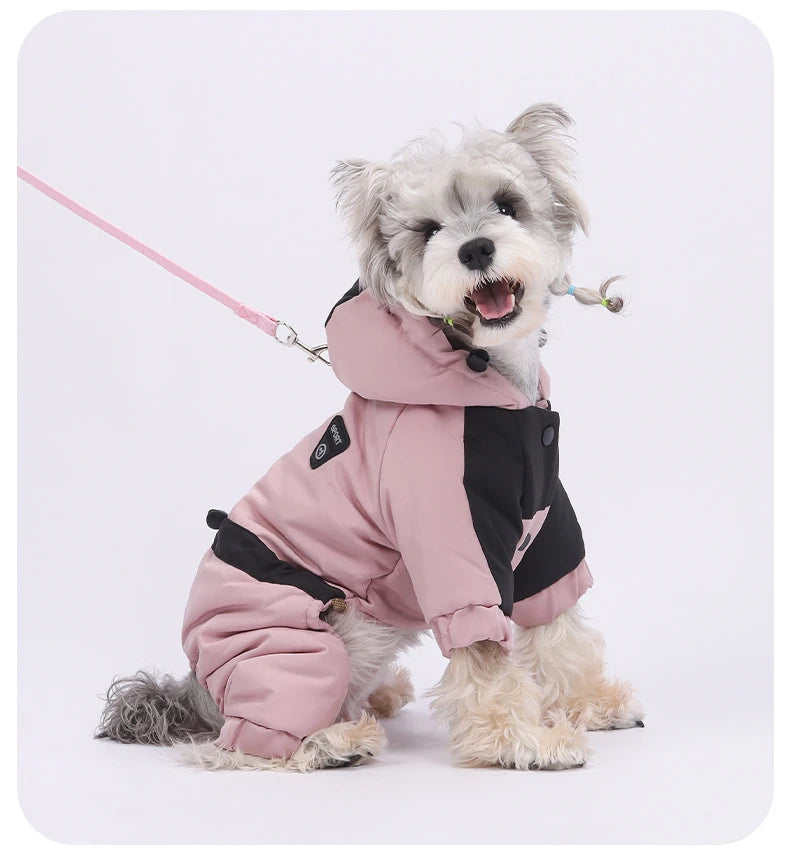 Combinaison d'hiver pour petit chien